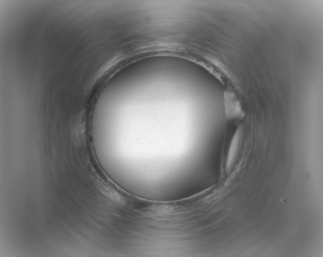 X0000075341450200609292022