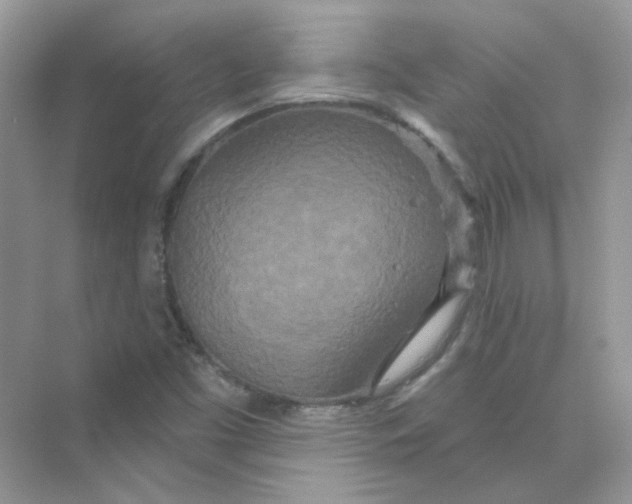 X0000075341453200609292022