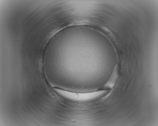 X0000075341457200609292022