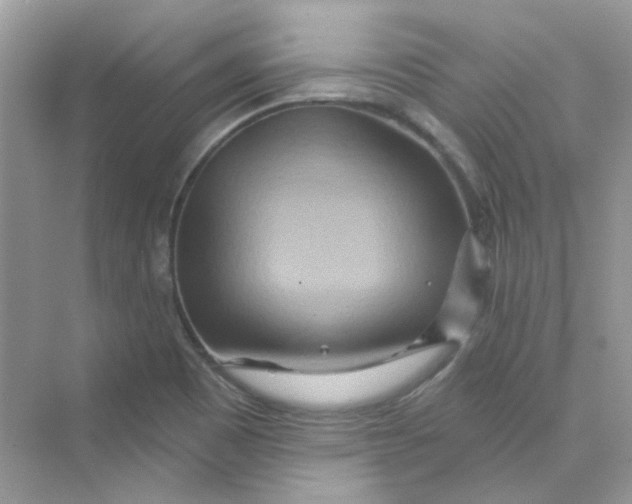 X0000075341465200609292022