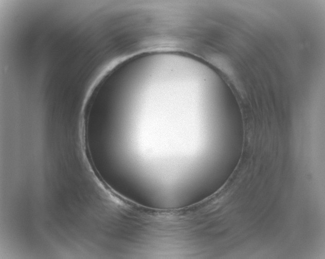 X0000075341472200609292022