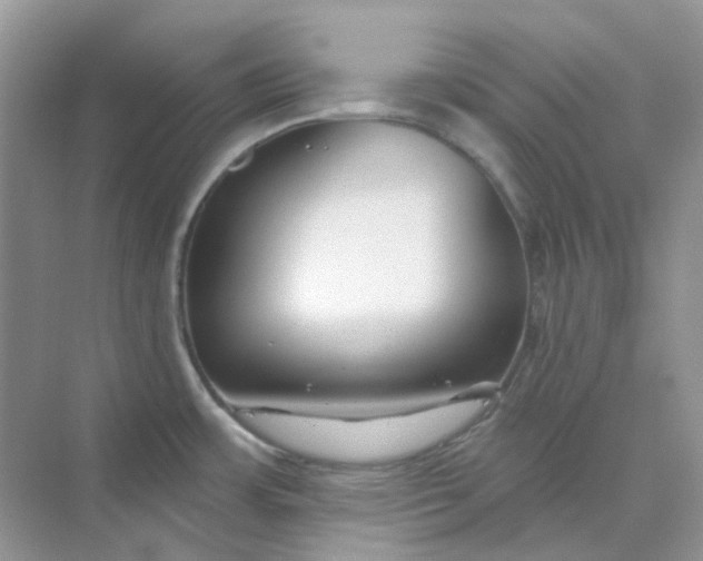 X0000075341483200609292022