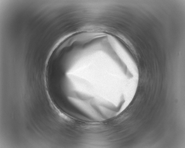 X0000075341486200609292021