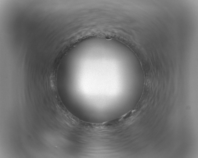 X0000075341490200609292021