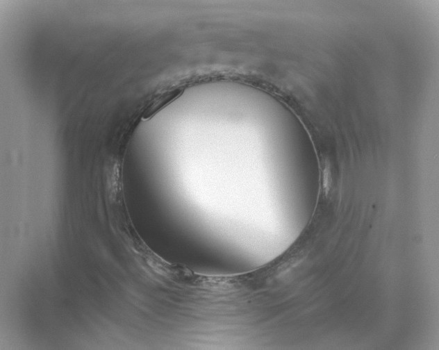 X0000075341492200609292021