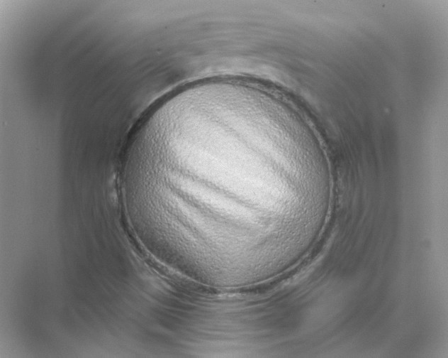 X0000075341497200609292021