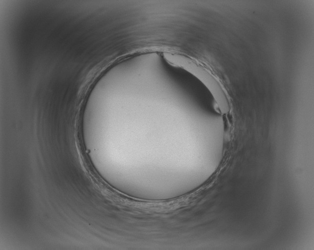 X0000075340001200610061707