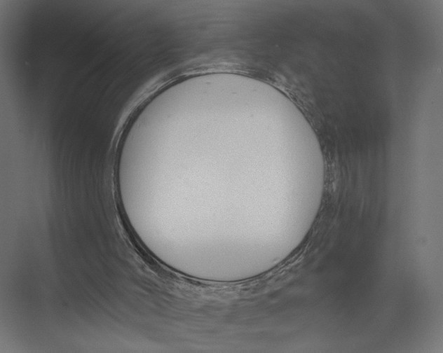 X0000075340004200610061707