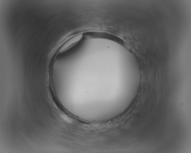 X0000075340005200610061707