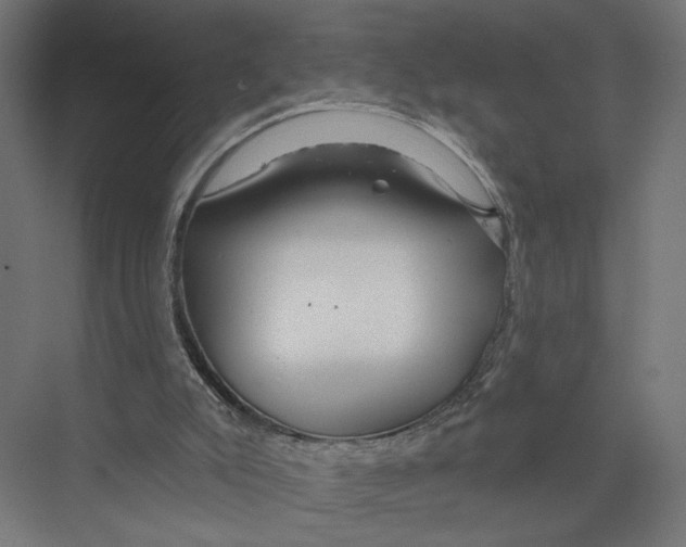 X0000075340007200610061707