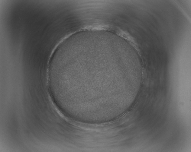 X0000075340012200610061707