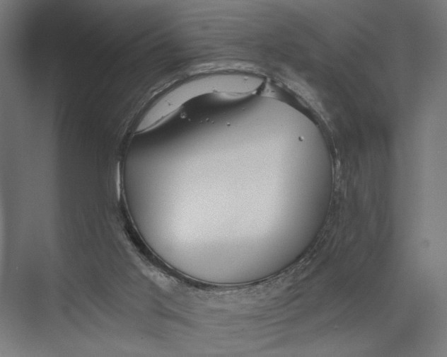 X0000075340013200610061707