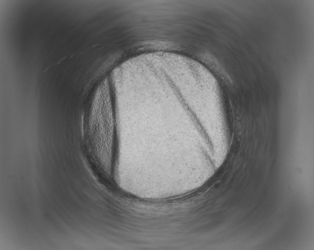 X0000075340014200610061707