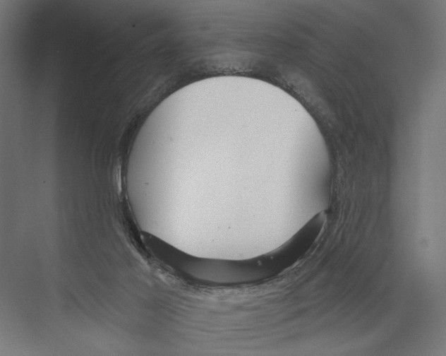 X0000075340021200610061706