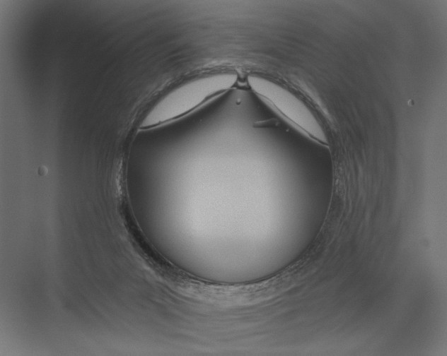 X0000075340023200610061706