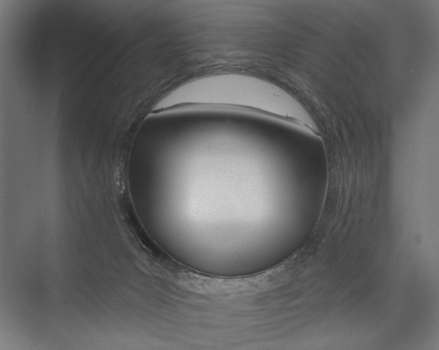 X0000075340031200610061706