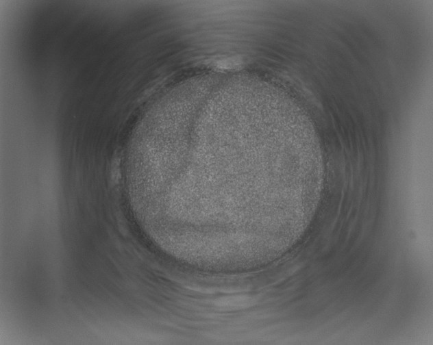 X0000075340032200610061706