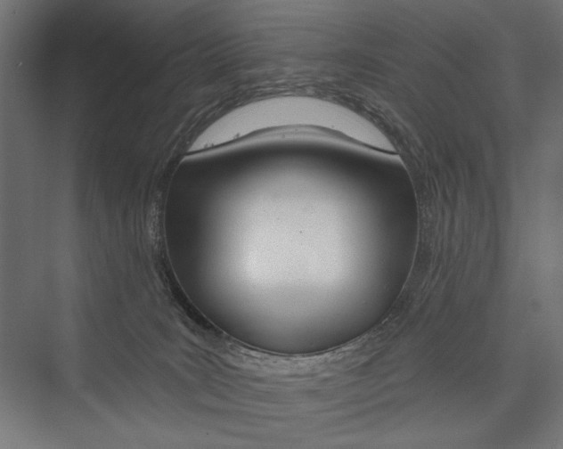 X0000075340035200610061706