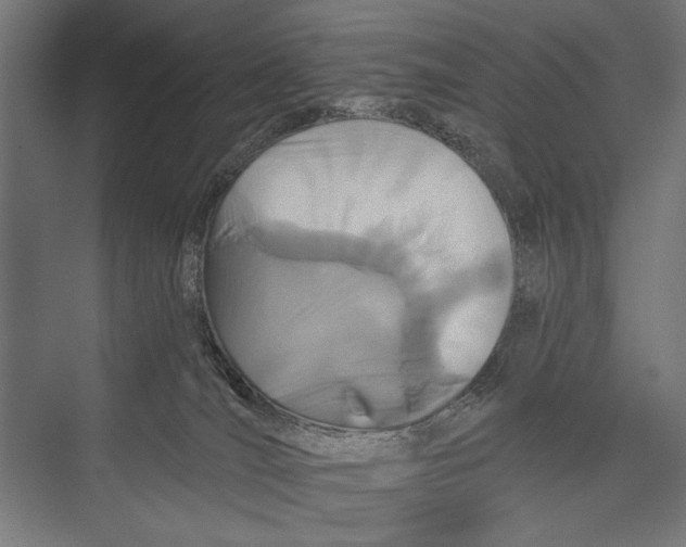 X0000075340036200610061706