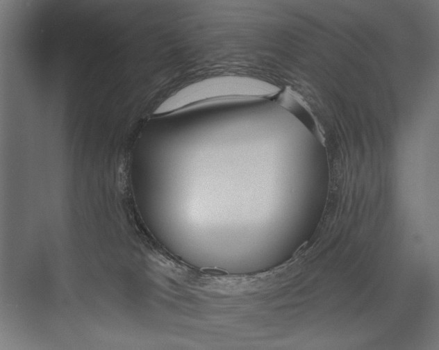 X0000075340037200610061706