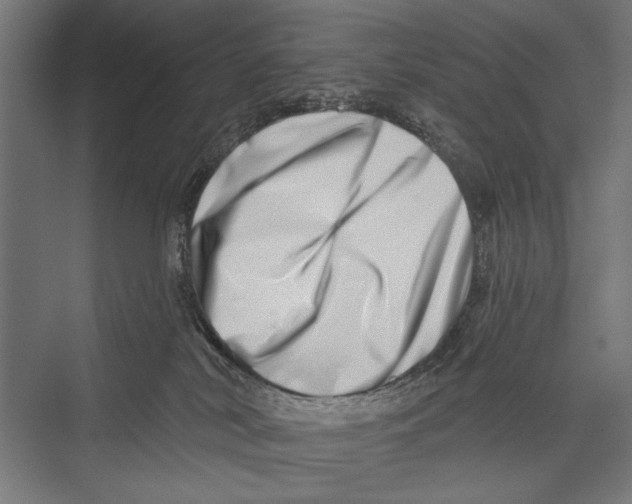 X0000075340038200610061706