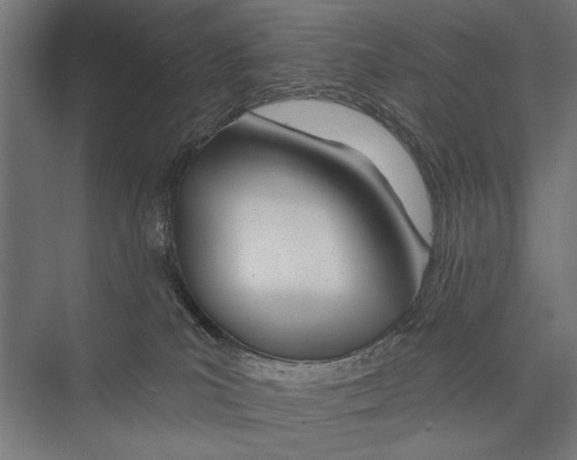 X0000075340039200610061706