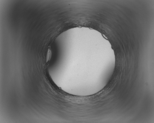 X0000075340040200610061706