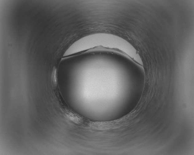 X0000075340041200610061706