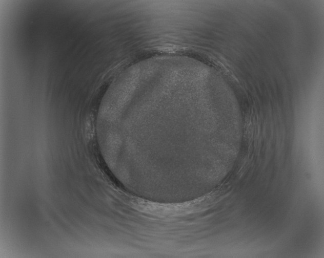 X0000075340043200610061706