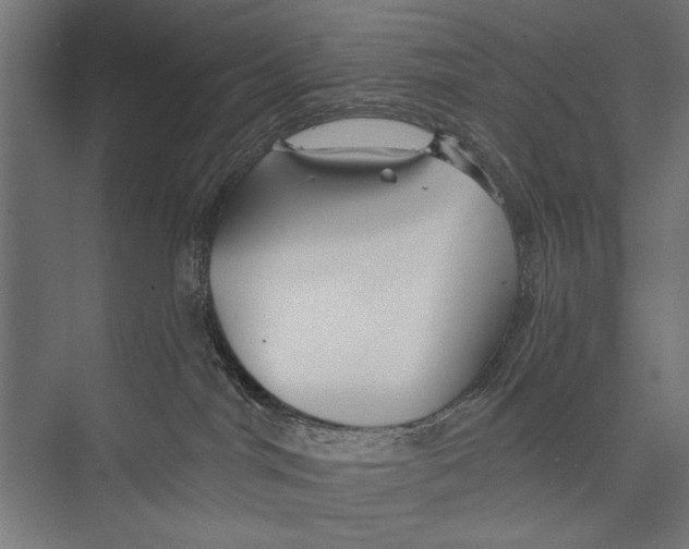 X0000075340044200610061706