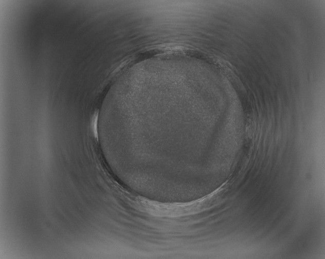 X0000075340047200610061706