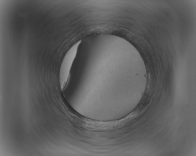 X0000075340048200610061706