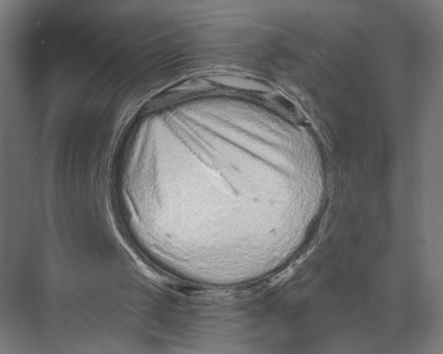 X0000075340049200610061705