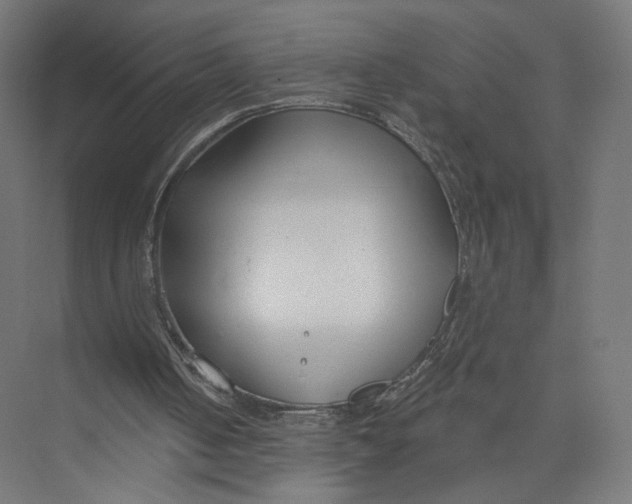 X0000075340050200610061705