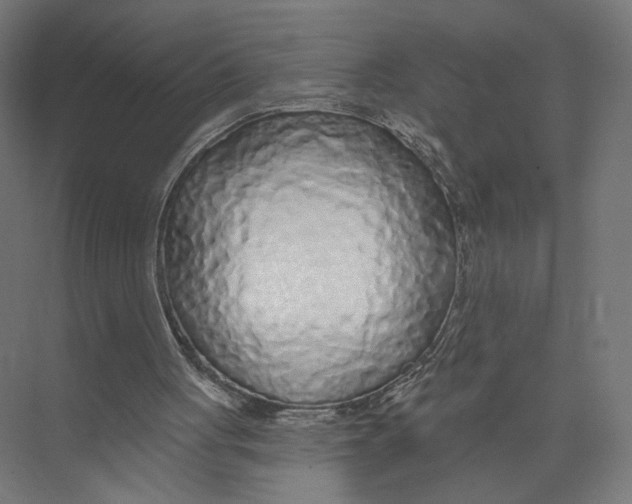 X0000075340051200610061705