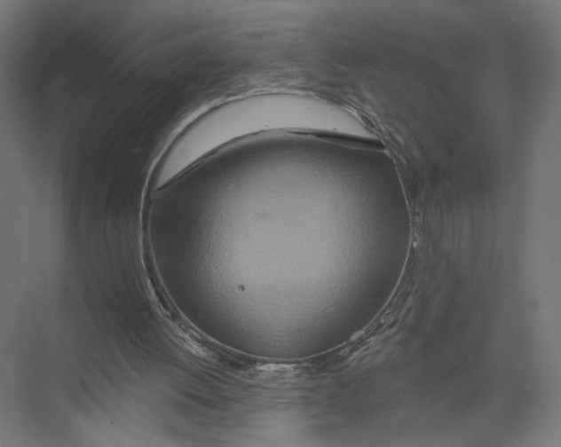 X0000075340052200610061705