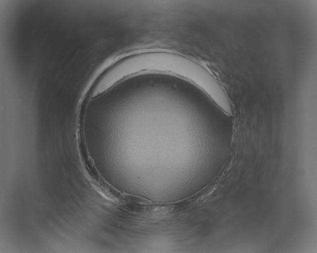 X0000075340056200610061705