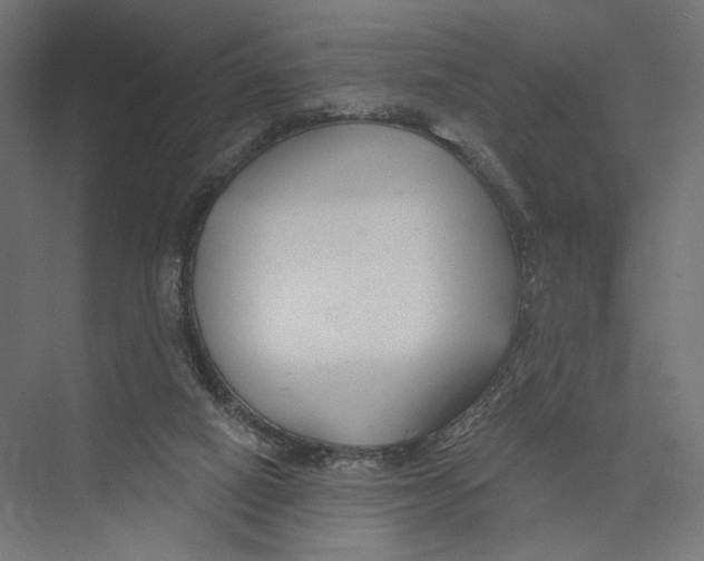 X0000075340066200610061705