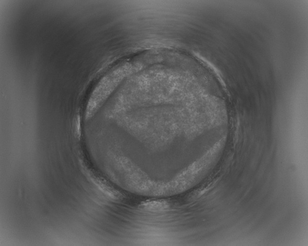 X0000075340067200610061705