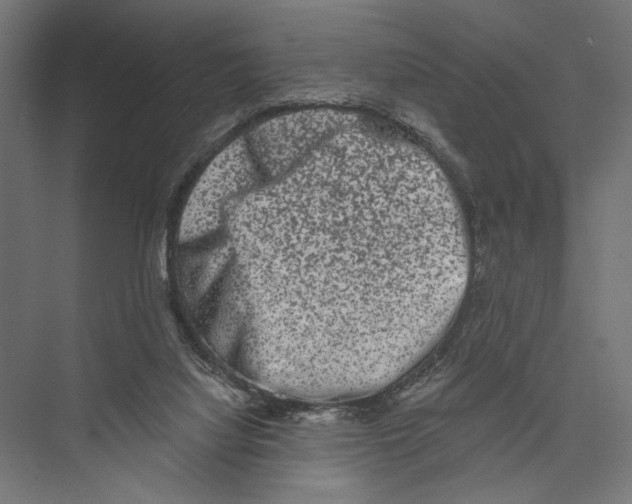 X0000075340068200610061705