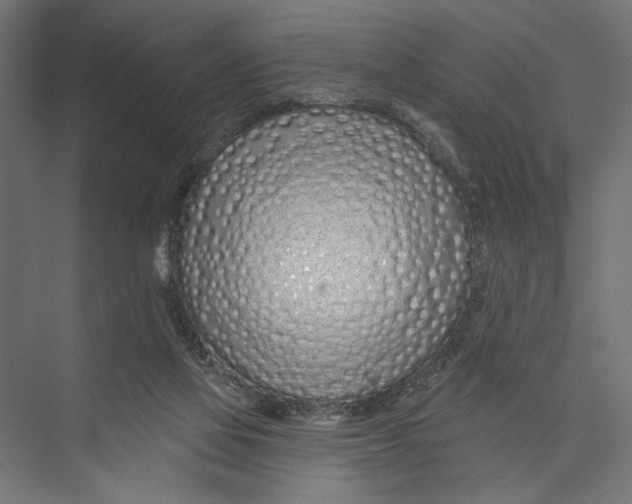 X0000075340069200610061705