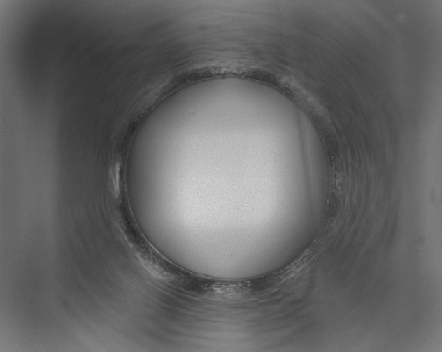 X0000075340070200610061705