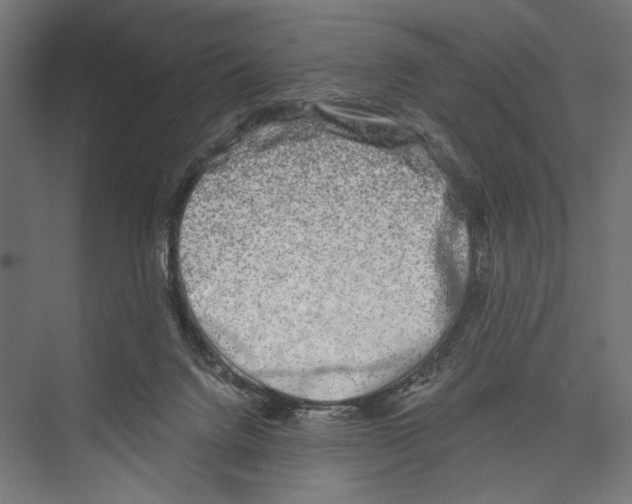 X0000075340072200610061706