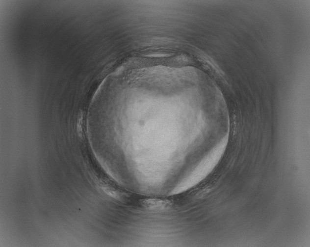 X0000075340073200610061706