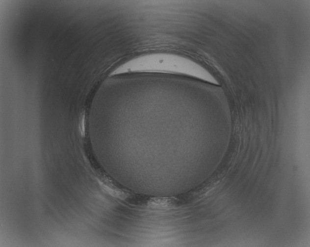 X0000075340076200610061706