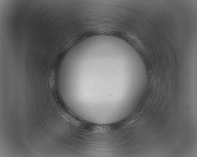 X0000075340077200610061706