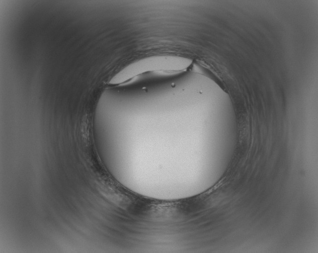 X0000075340078200610061706