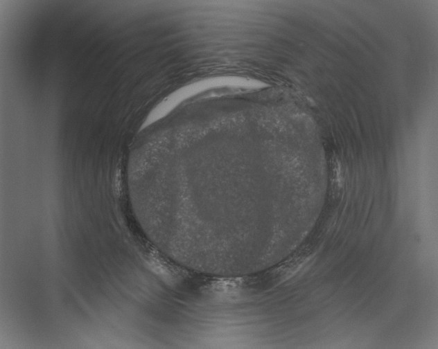 X0000075340080200610061706