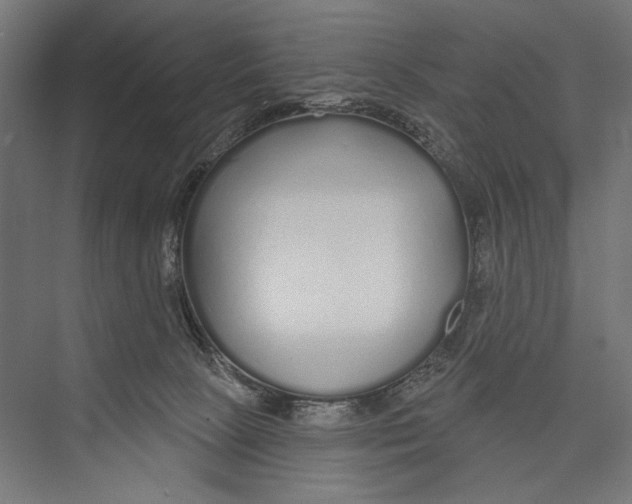 X0000075340081200610061706