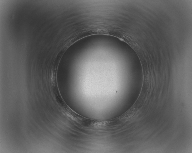 X0000075340084200610061706